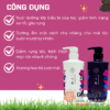 Bộ dầu gội xả Ichikami chiết xuất thảo dược (trắng đen) (2)
