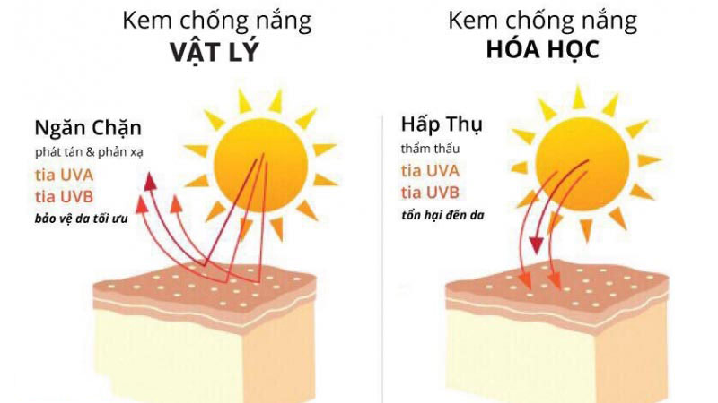 Top 7 kem chống nắng được ưa chuộng nhất hè 2023 10 cách chọn kem chống nắng